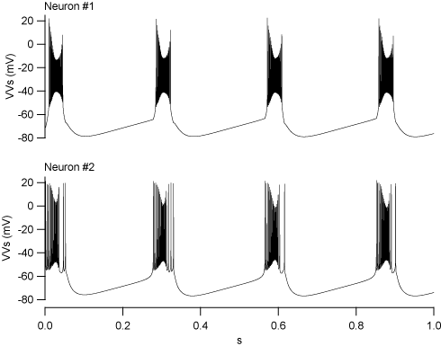 2 neurons (connected)